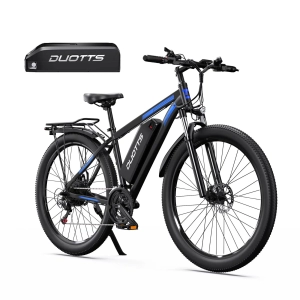 DUOTTS C29-L Electric Bike Review: Is This 750W Dual Battery Beast Worth $1,229.99?