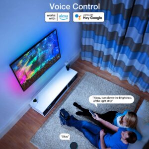 BlitzWill BW-LB2 Wi-Fi TV LED Backlight 5m