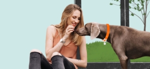 Revolutionize Pet Care with Innovative Pet Care Products